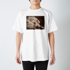 うみのみせの瀕死の白鳥 Regular Fit T-Shirt