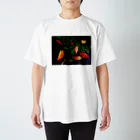 hiroki-naraの散り際の命　DATA_P_146 スタンダードTシャツ