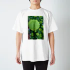 haretのmoss farm スタンダードTシャツ