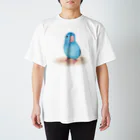 まめるりはことりのブルーマメルリハ【まめるりはことり】 Regular Fit T-Shirt