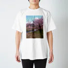 jurianoの四日市市桜地区の河津桜 スタンダードTシャツ