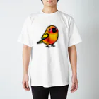 Cody the LovebirdのChubby Bird コガネメキシコインコ Regular Fit T-Shirt