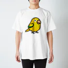 Cody the LovebirdのChubby Bird ニョオウインコ Regular Fit T-Shirt