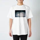 たにたにのヒヤヒヤ Regular Fit T-Shirt