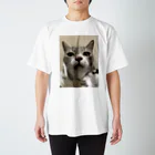 猫和尚のＴシャツ屋さんの猫が寄ってくるのです。 スタンダードTシャツ