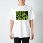 augustの小さな赤い花 Regular Fit T-Shirt