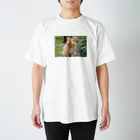 kokumotsu_teikokuのねこちゃんささってるよTシャツ Regular Fit T-Shirt