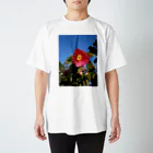 写真屋とーかの椿 スタンダードTシャツ