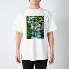 写真屋とーかの木漏れ日。 スタンダードTシャツ