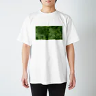 ナナホシ店舗の毬藻苔 スタンダードTシャツ