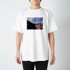 旅先pics📸の夏のローカル線 スタンダードTシャツ