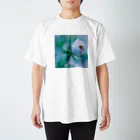 旅先pics📸の水が滴る白い花の蕾 スタンダードTシャツ