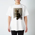 みけ（猫たつえ製作所/闇と肉球。）の千景一歳記念 スタンダードTシャツ