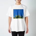 無糖の草 スタンダードTシャツ