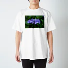 gallery_yukoの紫陽花 スタンダードTシャツ