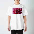 nonbirieartのボタニカルデザイン Regular Fit T-Shirt