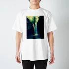 BECKBECKの滝 Regular Fit T-Shirt
