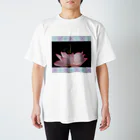 Fumiaki_Tadaの蓮と蝶 スタンダードTシャツ