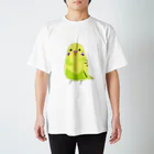 もふもふインコのけいちゃんのくりくりおめめのもふけいちゃん スタンダードTシャツ