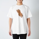 こぐま犬てんすけグッズショップのこぐま犬スーパーマンのポーズ Regular Fit T-Shirt