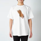 こぐま犬てんすけグッズショップのこぐま犬スーパーマンのポーズ Regular Fit T-Shirt