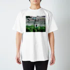 ハナ⸜🌷⸝‍チャンの見度沢川 スタンダードTシャツ