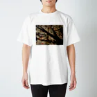 hiroki-naraの真実を写すもの　DATA_P_150　樹木の影 Regular Fit T-Shirt