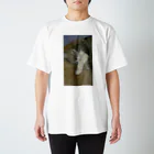 tomomi-covaのスヤスヤネコネコ Regular Fit T-Shirt