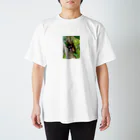 tamitamiのカブトムシ スタンダードTシャツ