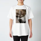 cocorobinのココ猫 Regular Fit T-Shirt