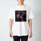 Bearsのさくら　Cherry Blossoms Regular Fit T-Shirt