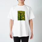 ken_nogiの菜の花 Regular Fit T-Shirt