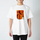 kasumiyolosiyomisuの今川焼の整列 Regular Fit T-Shirt