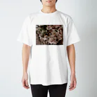 hiroki-naraの桜　サクラ　cherry blossom DATA_P_152　春　spring スタンダードTシャツ