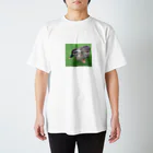 するめちゃんしょっぷのマイハマにいるトリ Regular Fit T-Shirt