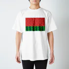 SANASAWAのスイカ Regular Fit T-Shirt
