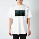 水曜日のうみねこのこれから咲くバラ Regular Fit T-Shirt