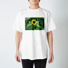 たーたの一欠けひまわり スタンダードTシャツ