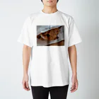 FUKUCHYAONEのかくれ猫 Regular Fit T-Shirt