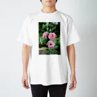 ニコフォトのちょい枯れた薔薇 スタンダードTシャツ