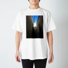 Landscape のSANDIEGO Regular Fit T-Shirt