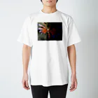 主に文と写真のミノカサゴ(ナイトダイビング) Regular Fit T-Shirt