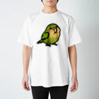 Cody the LovebirdのChubby Bird カカポ スタンダードTシャツ