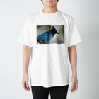 ぷらっこのヨセミテの青い鳥 Regular Fit T-Shirt