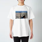 otakeの写真店の海とまつぼっくり スタンダードTシャツ