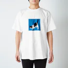 hanameのしりぽんねこ １ スタンダードTシャツ