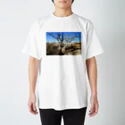 グリーン168ショップの原生地グラキリス スタンダードTシャツ