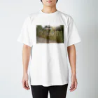 グリーン168ショップのマダガスカルの日常 Regular Fit T-Shirt