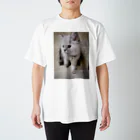 Elfi, Cherie, Felicia, Asher, Bae&Ameliaのサイベリアンの子猫(ブルーポイント) Regular Fit T-Shirt