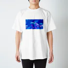 ことりの家のウメイロモドキ Regular Fit T-Shirt